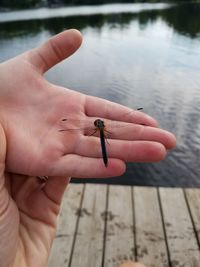 Cropped image of hand holding small water