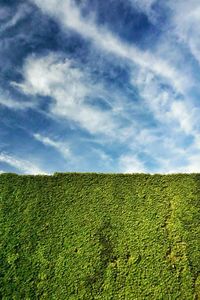 Low angle view of field against sky