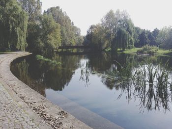 Scenic view of lake by trees against sky