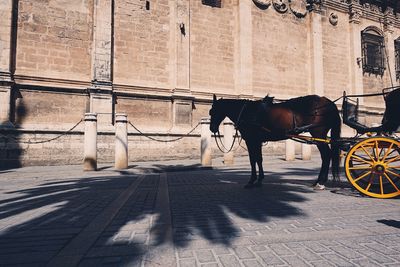 Horse carriage on footpath against building