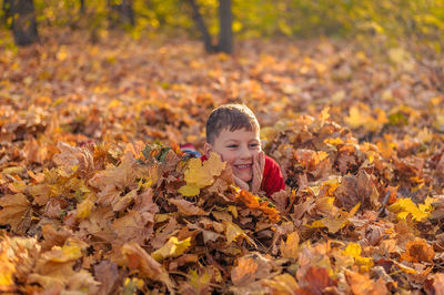 Sly little boy hid in the yellow fallen foliage in the autumn park