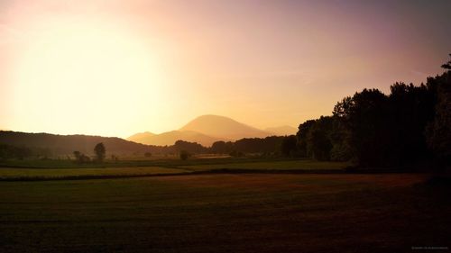 Scenic view of field against clear sky at sunset