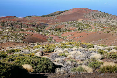 Scenic view of mountains against clear sky