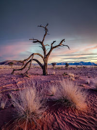 Scenic view of beach against sky during sunset