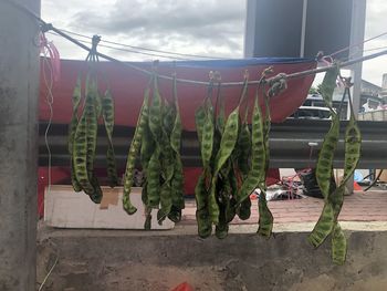 Clothes drying on clothesline against sky