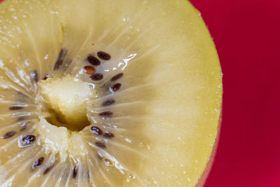 Close-up of lemon slice in plate