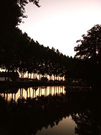 Reflection of silhouette trees in lake at sunset