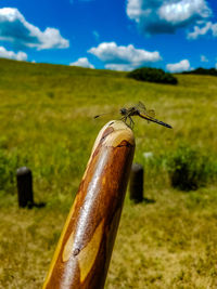 Close-up of wooden post on field