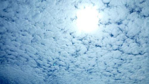 Close-up of snow against blue sky