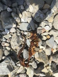 Full frame shot of stones