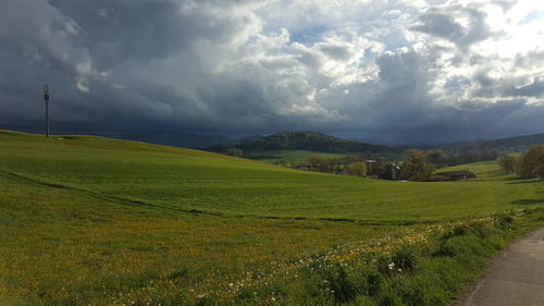 Scenic view of field against sky