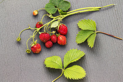High angle view of strawberries