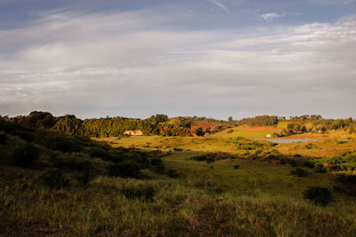 Scenic view of landscape against sky