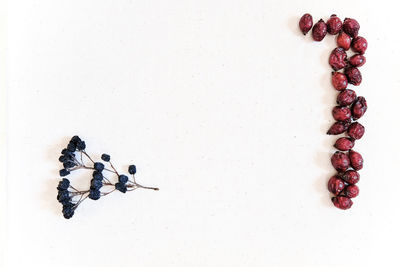 High angle view of berries on table against white background