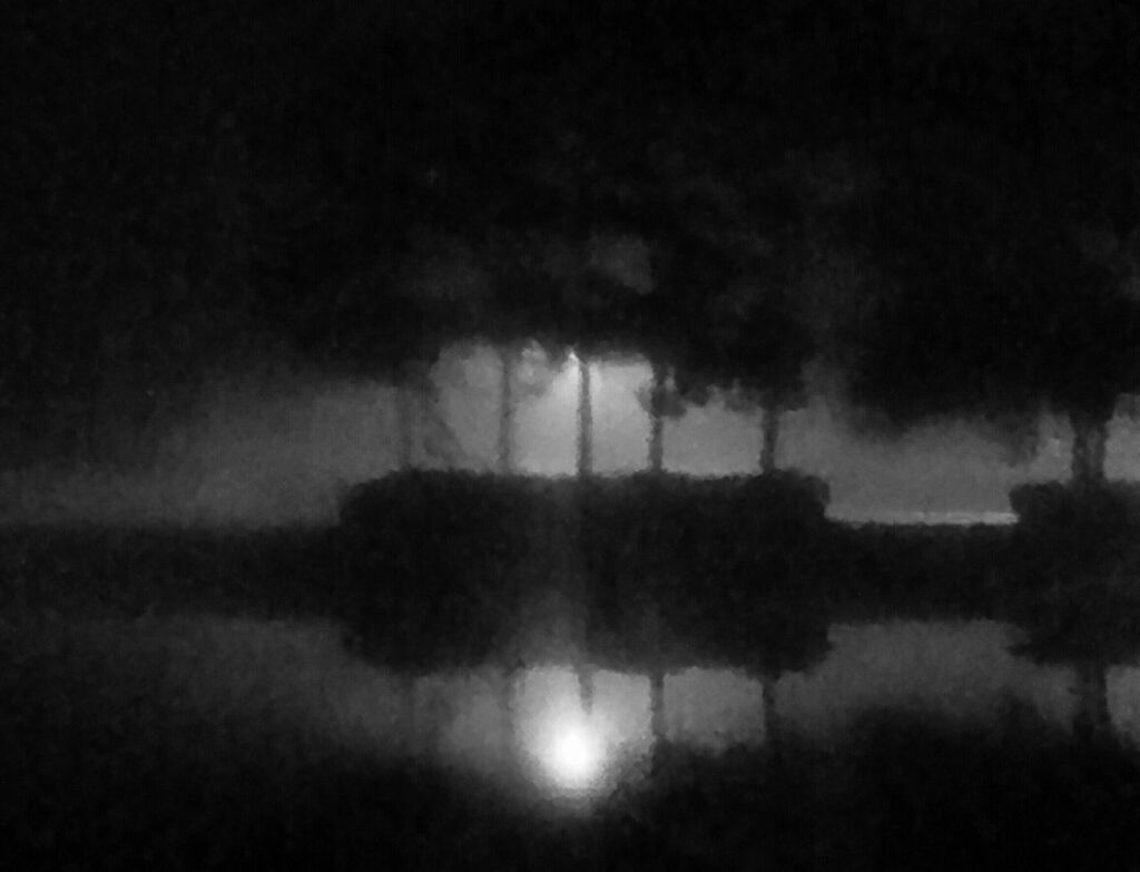 tranquility, water, night, reflection, tranquil scene, silhouette, lake, tree, nature, scenics, fog, beauty in nature, dark, foggy, weather, dusk, sky, waterfront, outdoors, field