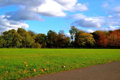 Scenic view of green field and trees against sky