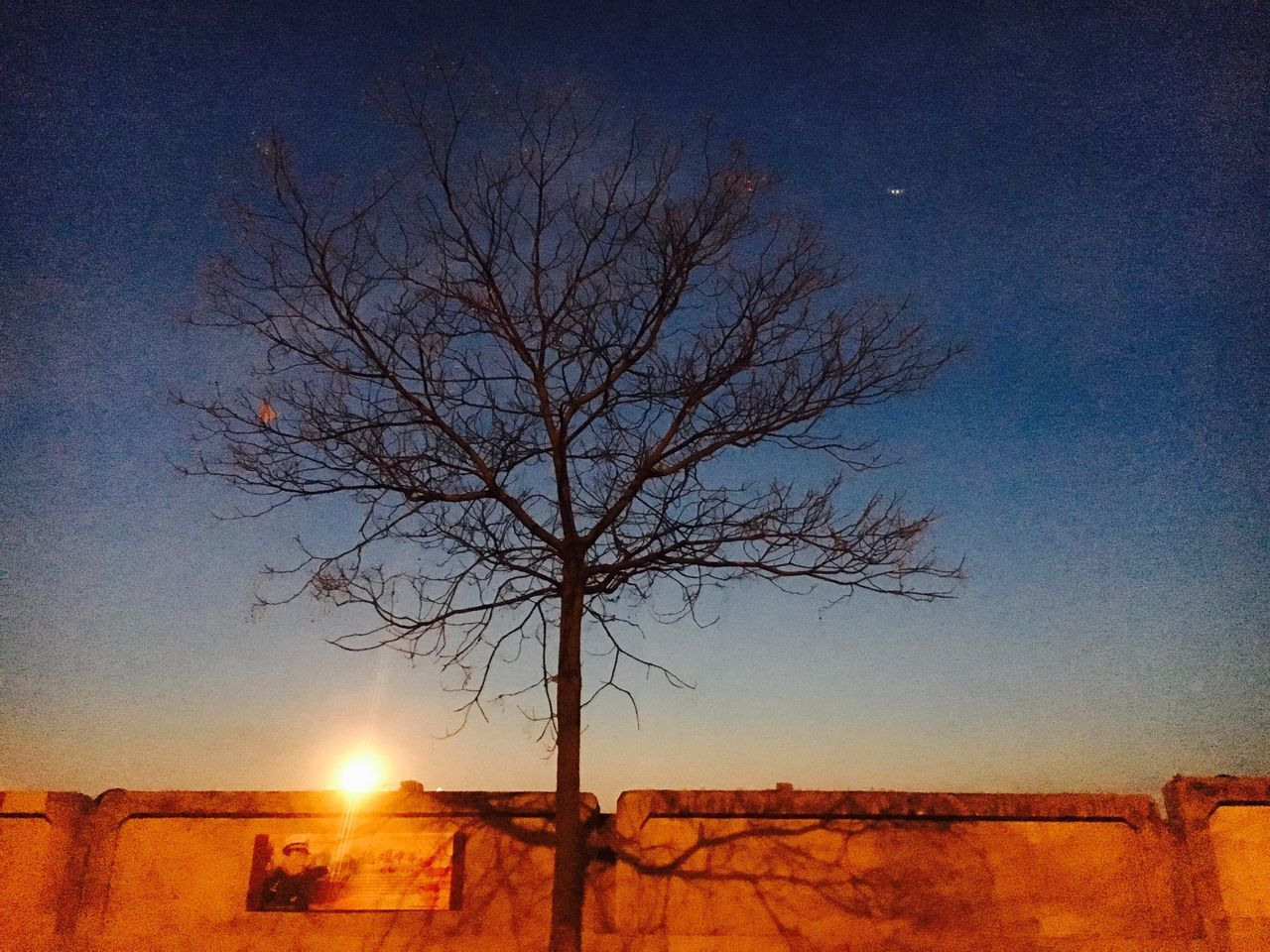 bare tree, tree, branch, tranquility, sky, clear sky, silhouette, fence, nature, tranquil scene, landscape, sunset, field, sunlight, scenics, sun, beauty in nature, no people, outdoors, low angle view