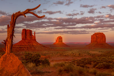 Rock formations in a desert