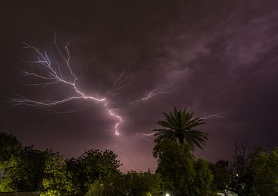 Low angle view of lightning in sky at night