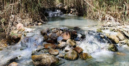 River flowing through rocks in forest