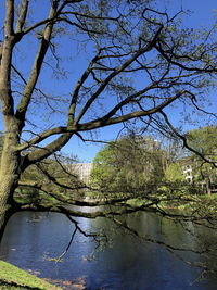 Scenic view of lake against clear blue sky