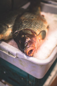 High angle view of fishes in tray at market stall