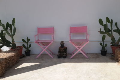 Potted plant on table against wall