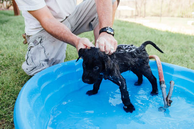 Man giving bath to black labrador puppy in tub