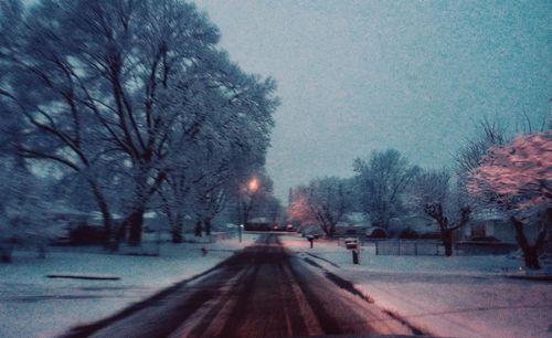 Road amidst bare trees during winter