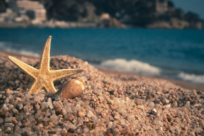 Pebbles on beach