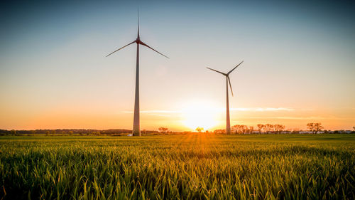 Wind turbines on field against sky during sunset
