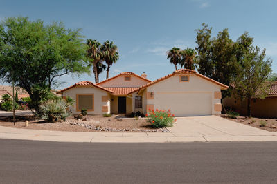 Tucson arizona home with green trees and palm trees.