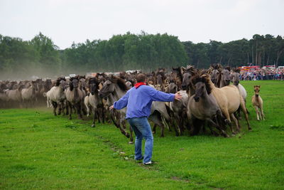 Rear view of men standing next to running horses