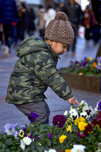 Boy touching flowers in park