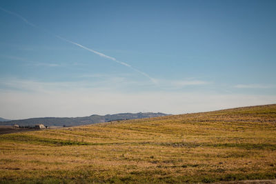 Scenic view of field against sky