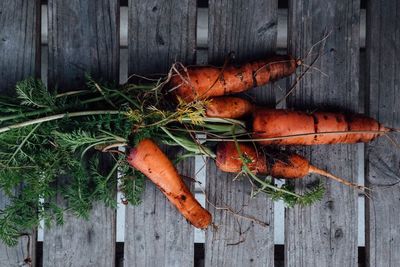 High angle view of orange vegetables on wood