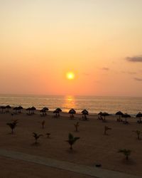 Thatched roof parasols at beach against sky during sunset