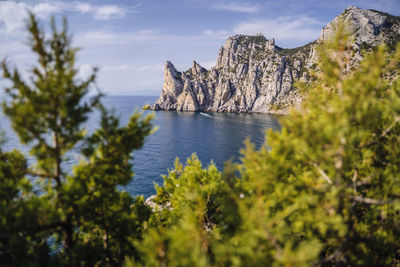 Plants growing on rock by sea against sky