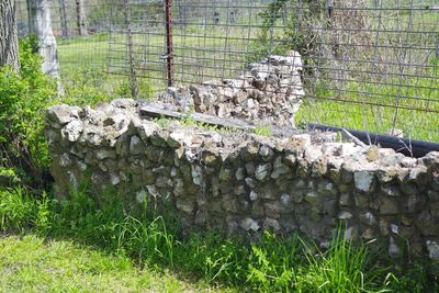 Stone wall in park