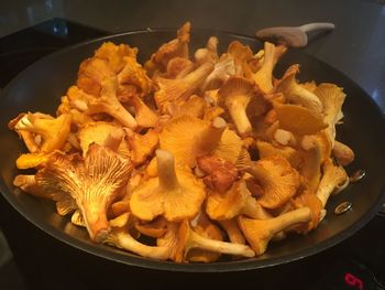 High angle view of mushrooms in plate