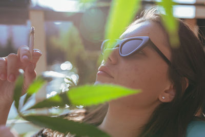 Close-up of woman holding marijuana joint by plant