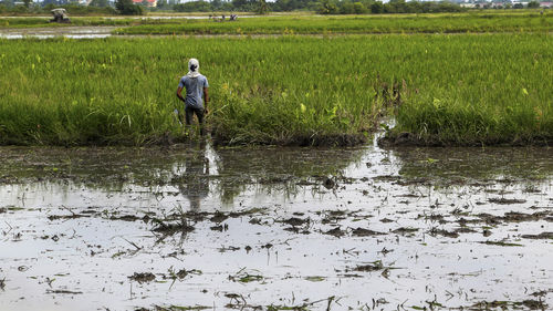 Full length of man working on rice field