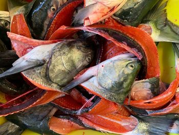 Close-up of fish for sale at market