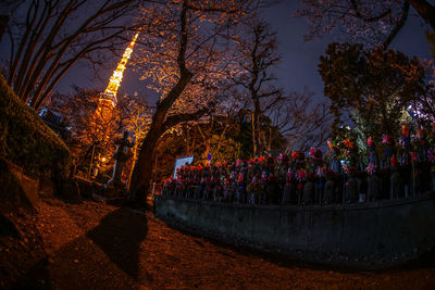 View of illuminated trees in park at night