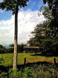 Scenic view of grassy field against cloudy sky