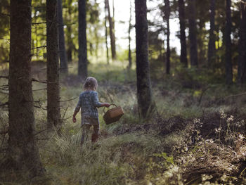 Girl in forest picking mushrooms