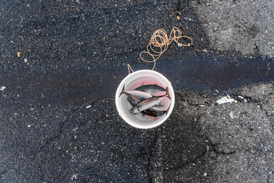 High angle view of fishes in bucket on road