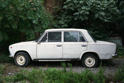 Abandoned white soviet car surrounded by green trees and grass