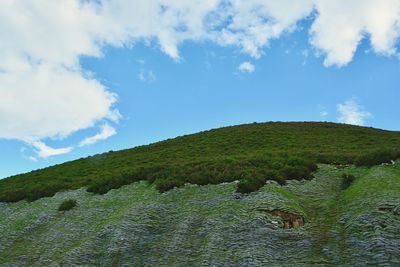 Scenic view of green landscape against sky