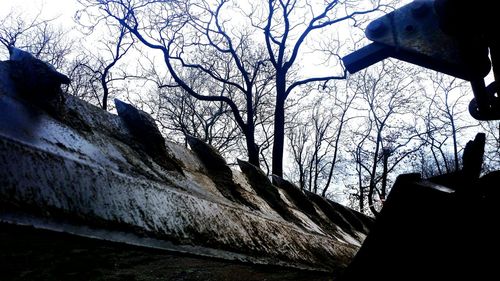 Low angle view of trees against sky